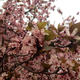Image for article titled Shooting Challenge: Spring Gallery 2